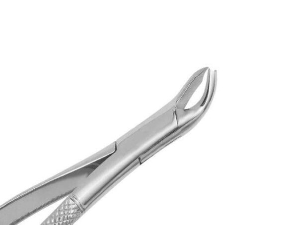 Extracting Forceps #23 Cow Horn 1st & 2nd Lower Molars - MARK3 - Image 11
