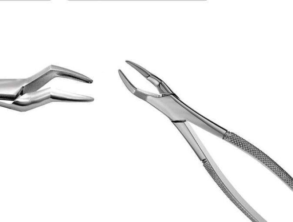 Extracting Forceps #23 Cow Horn 1st & 2nd Lower Molars - MARK3 - Image 13