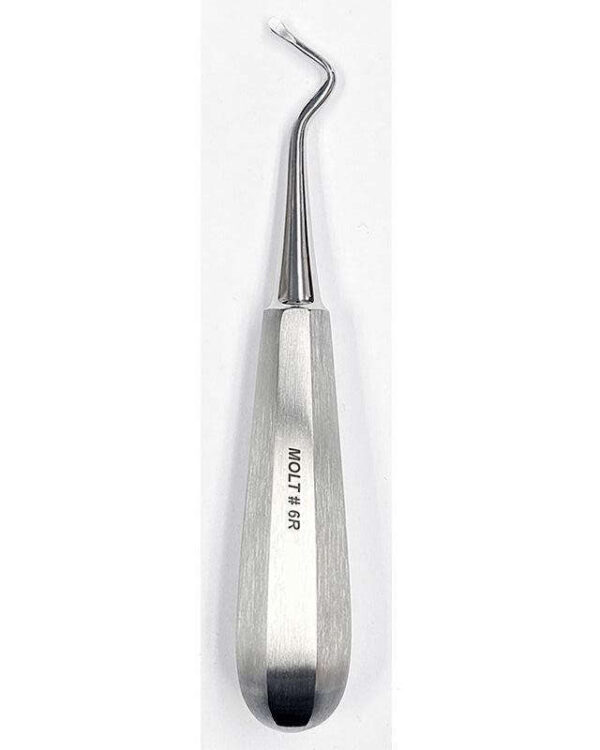 Molt Bone Curette #1 - MARK3 - Image 6
